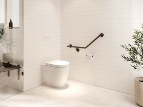 In Situ - Mizu Commercial Bathroom - Wolfen Back to Wall Toilet Matte Black