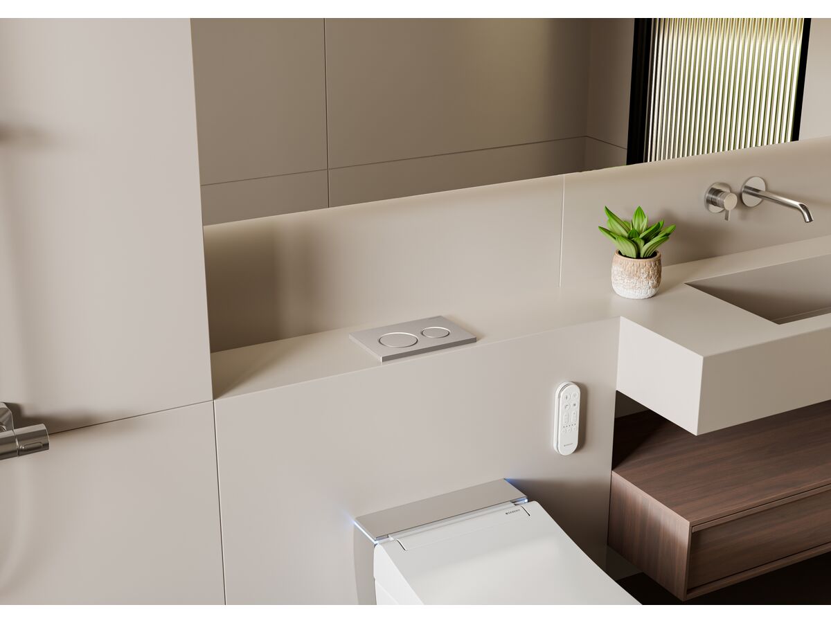 In Situ - Geberit Omega01 Dual Flush Button Matte Chrome