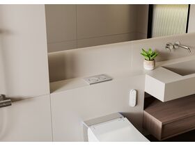 In Situ - Geberit Omega01 Dual Flush Button Matte Chrome