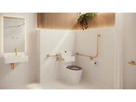 In Situ - Mizu Commercial Bathroom - Wolfen Closed Coupled Back to Wall Toilet with Backrest- Brushed Brass