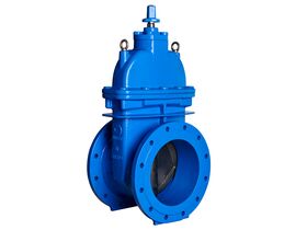 300mm Dimax FL Valves