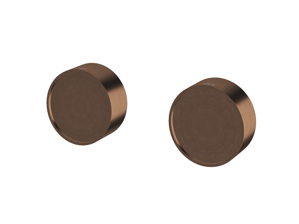 Hero - Sussex Pure Elemental Wall Top Assembly PVD Brushed Bronze Lead Free