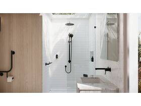 In Situ - Mizu Commercial Bathroom - Independent Straight Handshower Grab Rail Kit 3 function - Matte Black