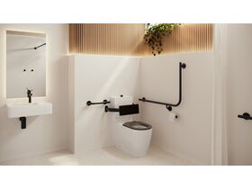 In Situ - Mizu Commercial Bathroom - Wolfen Close Coupled Back to Wall Toilet with Backrest - Matte Black