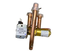 Hero - Ranco Reverse Valve (V26-100) V2-408064
