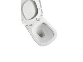 Posh Domaine Back to Wall Rimless Pan Soft Close Quick Release Seat (4 Star)