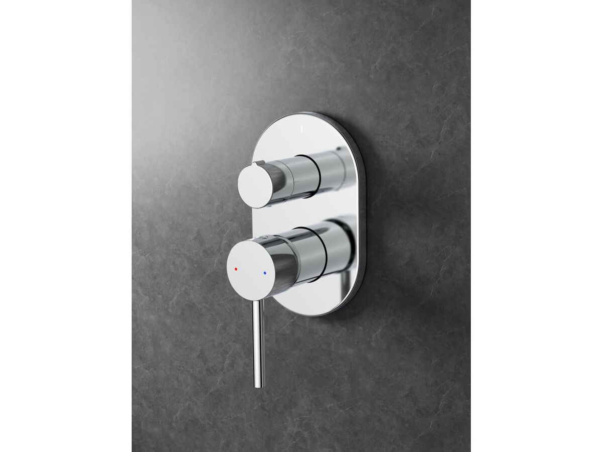 In Situ - Posh Bristol Pin Shower Mixer with Diverter Chrome Lead Free