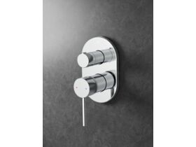 In Situ - Posh Bristol Pin Shower Mixer with Diverter Chrome Lead Free