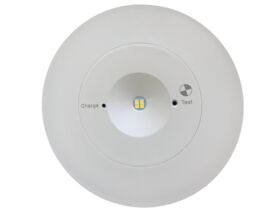 LED 3W Emergency Downlight