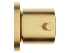 Supporting Image - Mizu Drift Wall Top Assemblies Brushed Brass Lead Free - Side