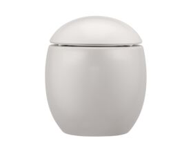 Supporting Image 2 - LAUFEN Alessi Rimless Wall Hung Pan with Soft Close Seat Matte White (4 Star) - Front
