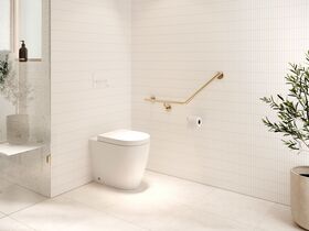 In Situ - Mizu Commercial Bathroom - Wolfen Back to Wall Toilet Brushed Brass