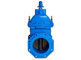 200mm Dimax FL Valves