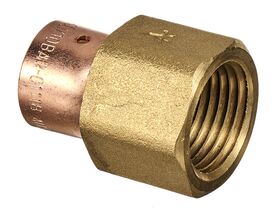 Auspex P x Female Adaptor 16mm x 1/2"