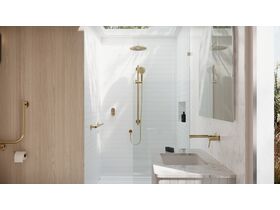 In Situ - Mizu Commercial Bathroom - Independent Straight Handshower Grab Rail Kit 3 function - Brushed Brass