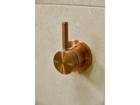 In Situ - Milli Etch Shower Mixer Kit Brushed Bronze Lead Free