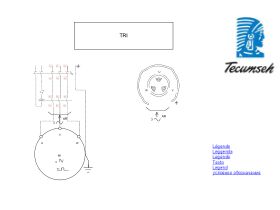 Wiring Diagram - Tecumseh Three Phase Compressor