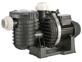 Pentair Max-E-Pro Pump