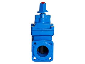 80mm Dimax FL Valves