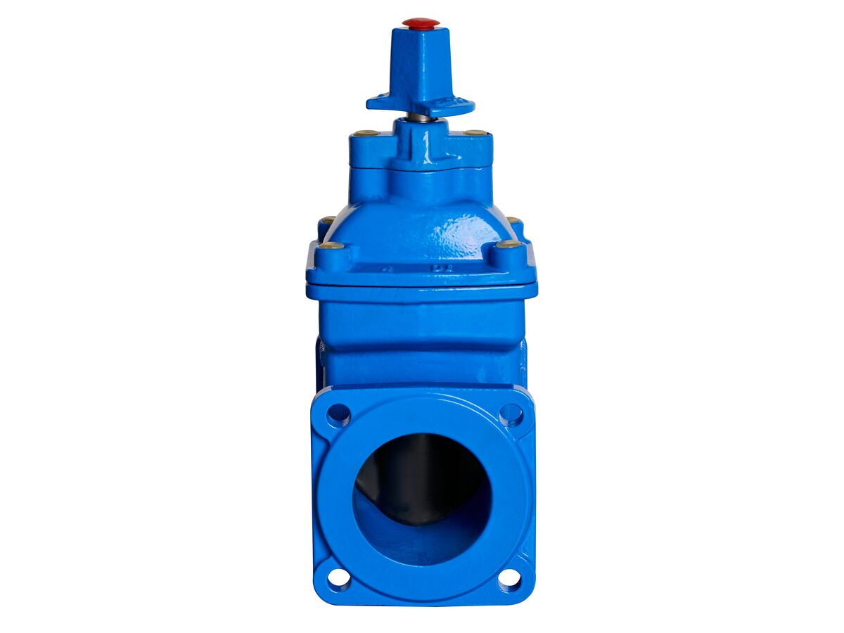 100 Dimax FL Valve