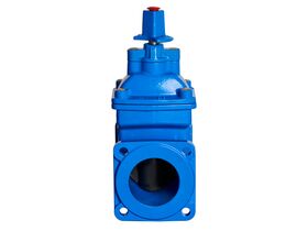 100 Dimax FL Valve