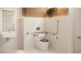 In Situ - Mizu Commercial Bathroom - Wolfen Back to Wall Toilet with Backrest - Brushed Nickel