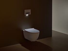 Geberit Sigma8 BTW & Wall Cistern with DuoFresh