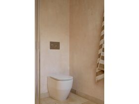 In Situ - LAUFEN Pro A Rimless Back to Wall Pan & Slim Soft Close Quick Release Seat (4 Star) & Hideaway+ Round Button/Plate Inwall Metal Brushed Nickel