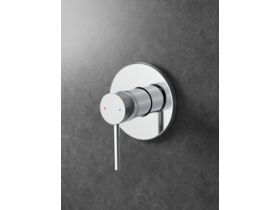 In Situ - Posh Bristol Pin Shower Mixer Chrome Lead Free