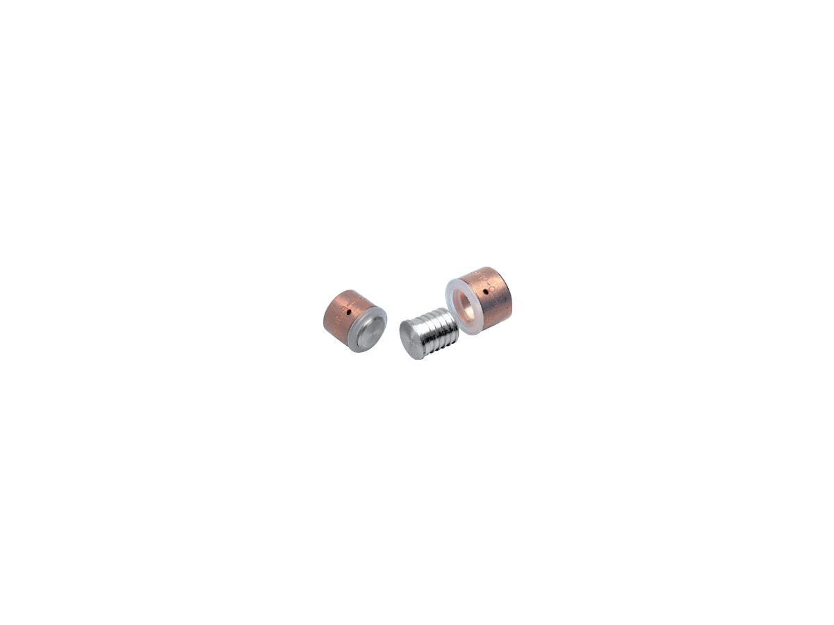 Auspex Stainless Steel End Cap