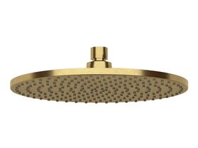 Sussex Pure Shower Head 250mm Living Tumbled Brass (3 Star)