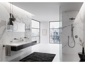 Bathroom In Situ Scene