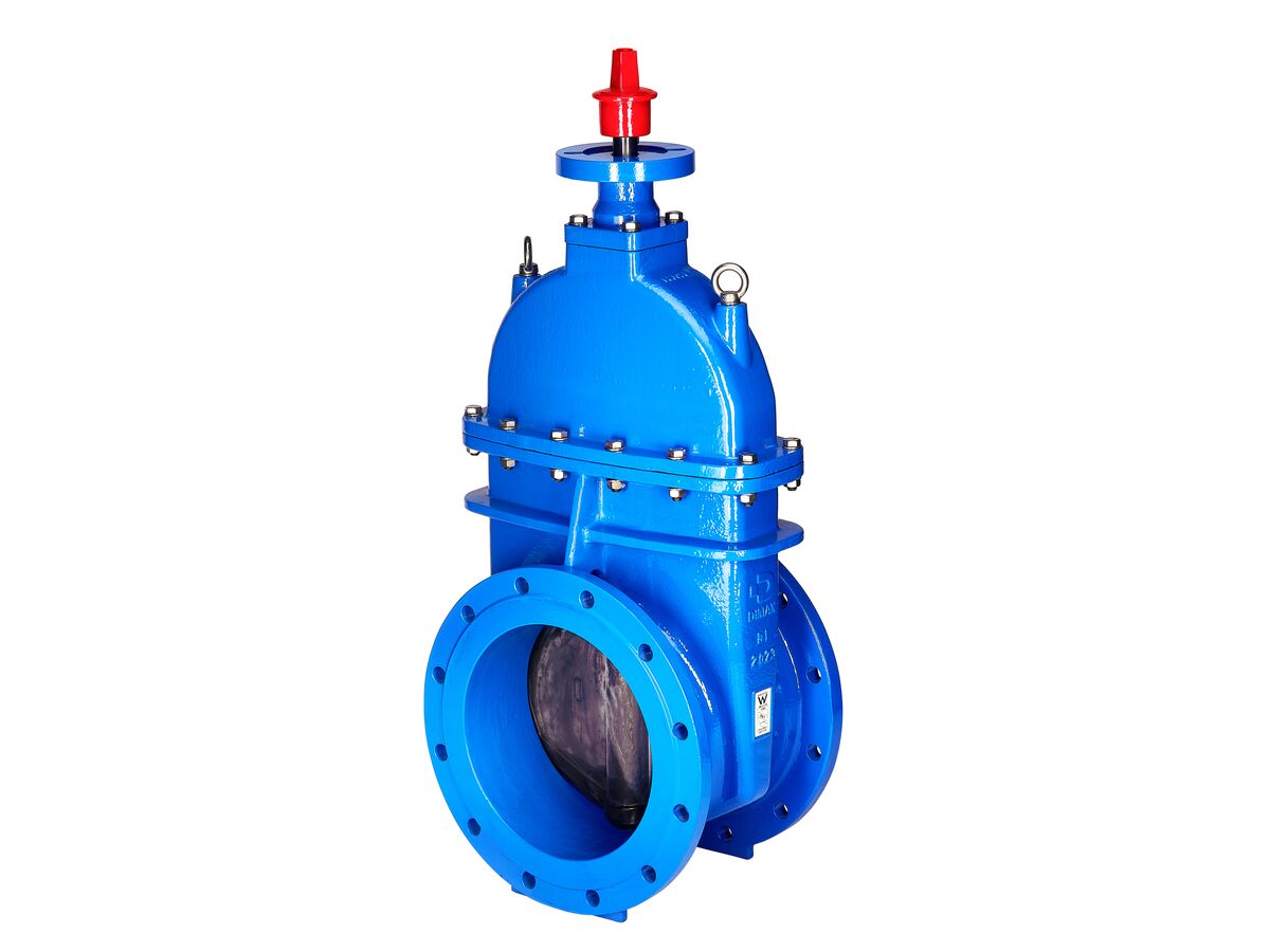 Dimax Resilient Seat Gate Valve (Flange x Flange) PN16 B5 375mm ...