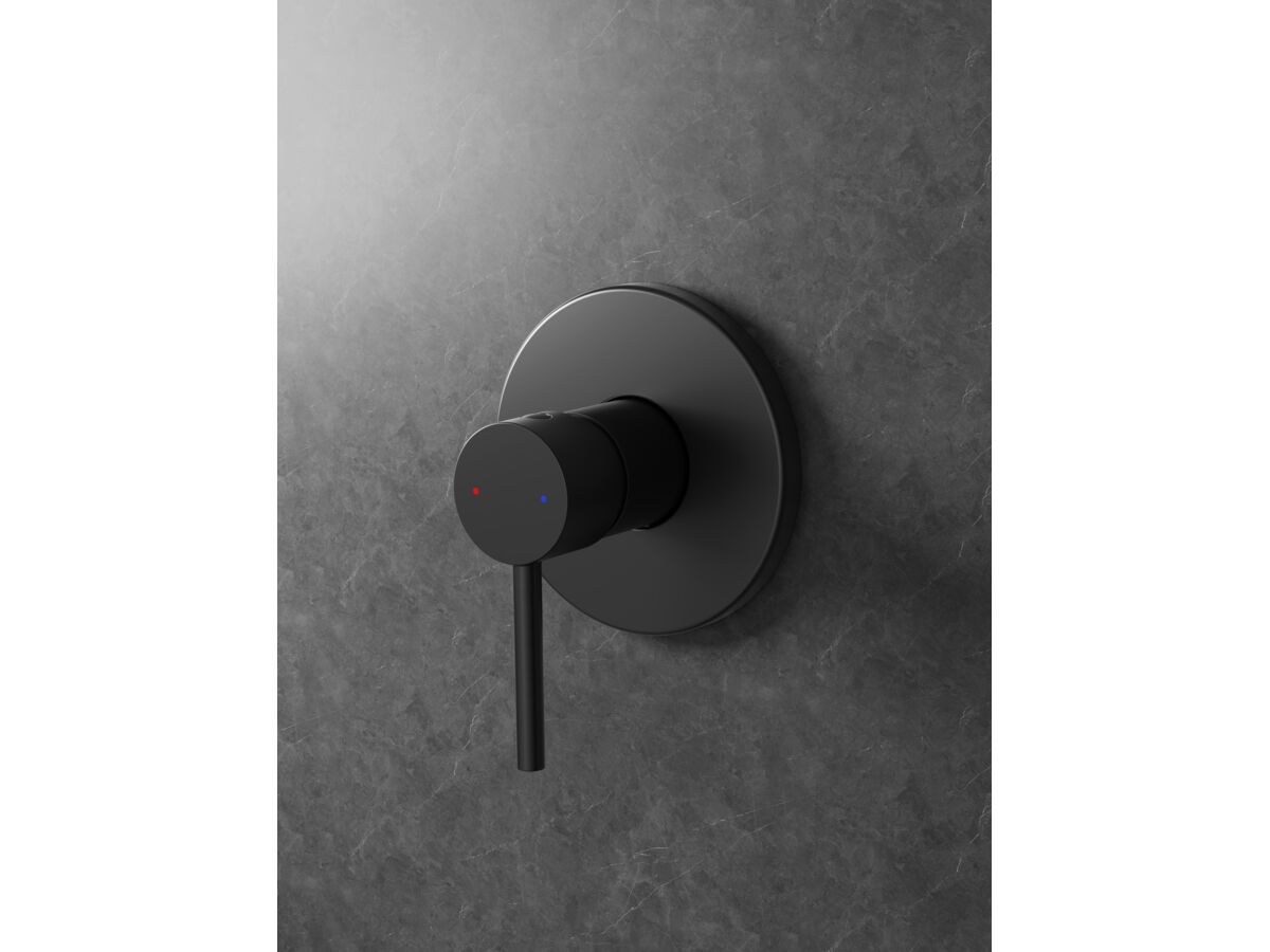 In Situ - Posh Bristol Pin Shower Mixer Matte Black Lead Free
