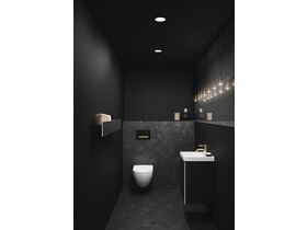 Geberit Sigma50 Black/Brass Button