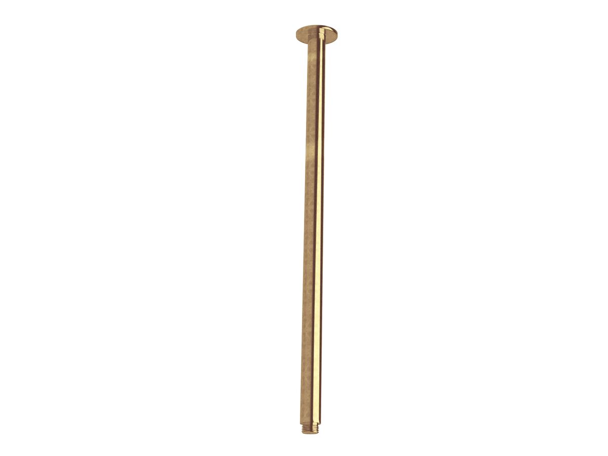 Sussex Pure Vertical Shower Arm 500mm Living Tumbled Brass