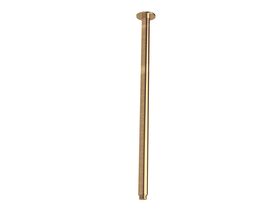 Sussex Pure Vertical Shower Arm 500mm Living Tumbled Brass
