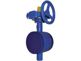 Victaulic V70B Watermark Butterfly Valve E Groove GO
