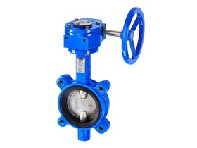 Dimax Gear Operated Butterfly Valve Lugged Table D DN100