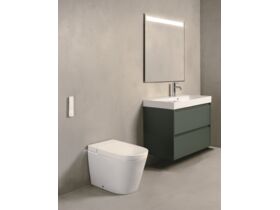 In Situ - Roca Ona In-Wash In-Tank Back to Wall (4 Star)