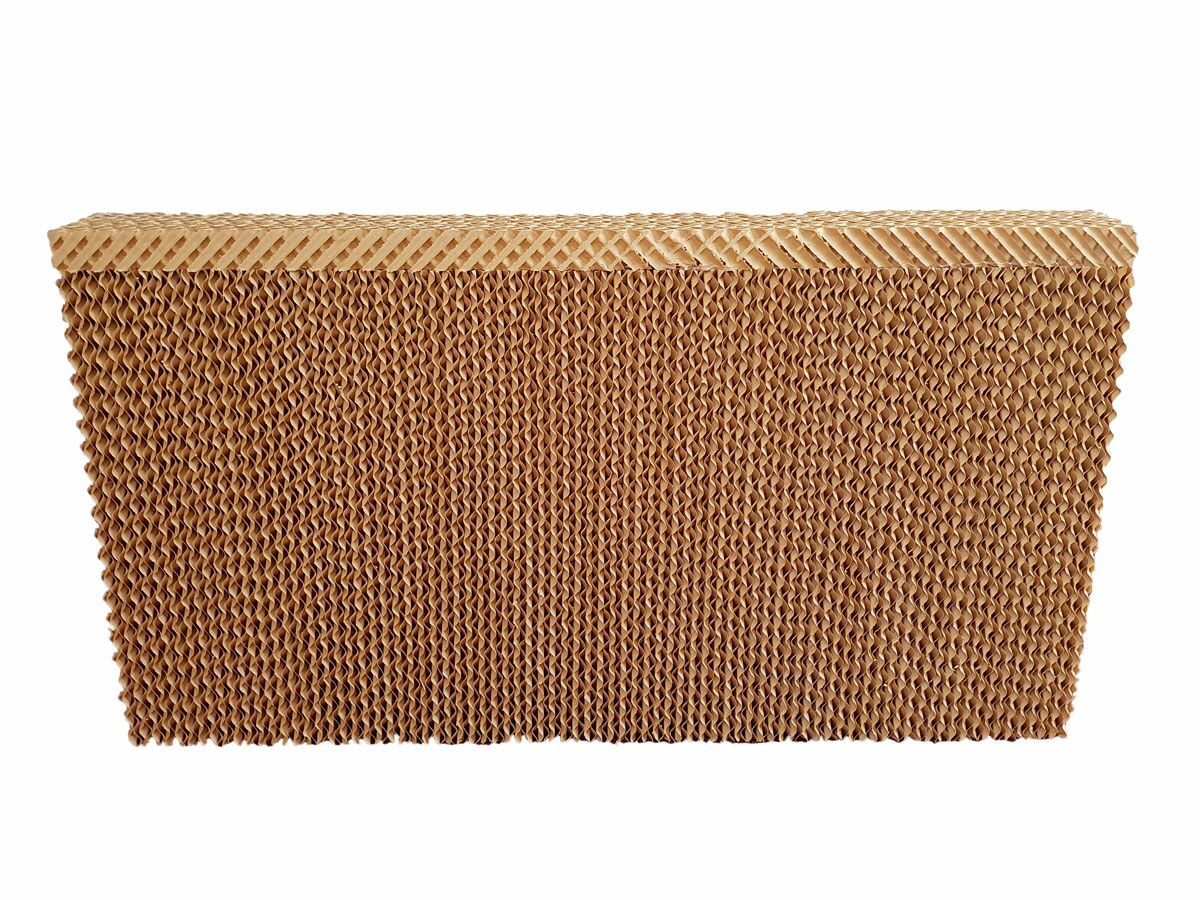 Filtex Pad
