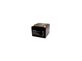 22AH 12VDC Lead Acid Battery