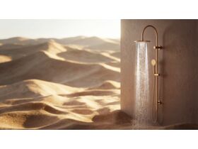 In Situ - Sussex Scala Nova Twin Rail Shower PVD Brushed Gold - Desert Scene