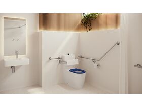 In Situ - Mizu Commercial Bathroom - Toilet - Chrome