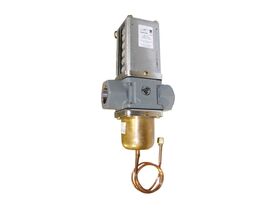 Penn BSP 2 Way Water Valve