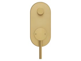 Supporting Image 2 - Mizu Drift Shower Mixer with Diverter Kit Brushed Brass - Front