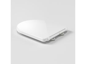 In Situ - Caroma Forma II Toilet Seat Soft Close Quick Release Gloss White