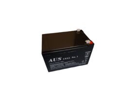 12AH 12VDC Lead Acid Battery