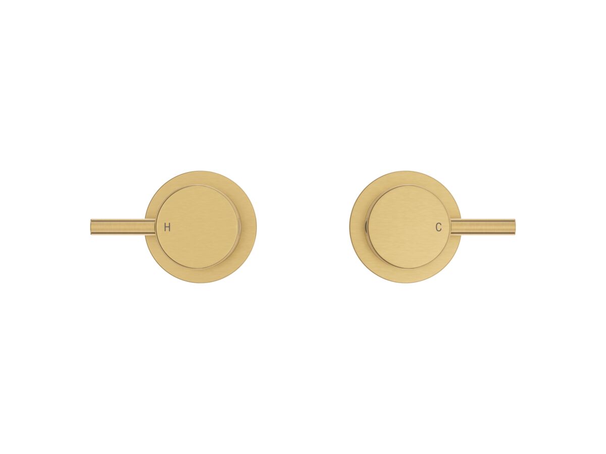 Supporting Image 2 - Mizu Drift Wall Top Assemblies Brushed Brass Lead Free - Front