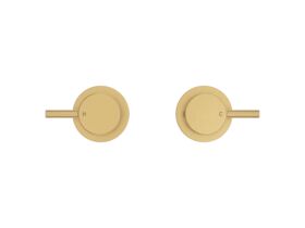 Supporting Image 2 - Mizu Drift Wall Top Assemblies Brushed Brass Lead Free - Front